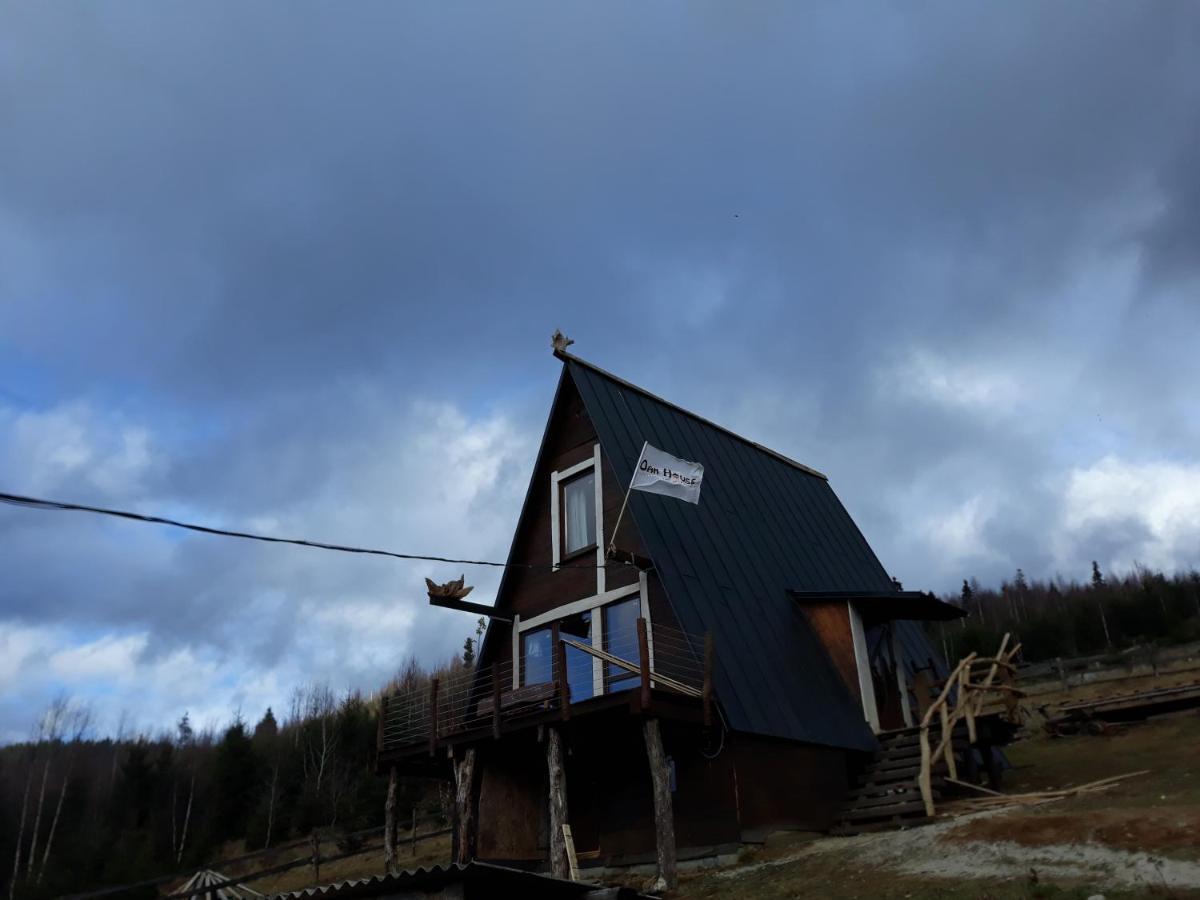 Oak House Apartment Palyanytsya Exterior photo